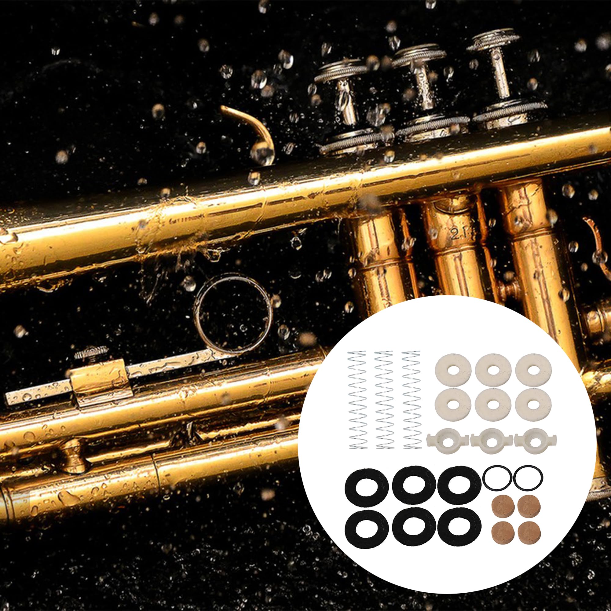 Amazon.com: Lovermusic 24 Pieces Trumpet Valve Repair Kit, Metal